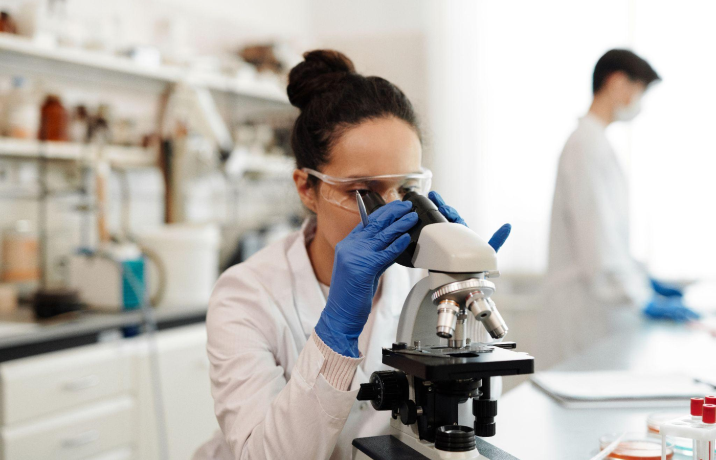 How Is Cardarine Handled in Preclinical Studies?