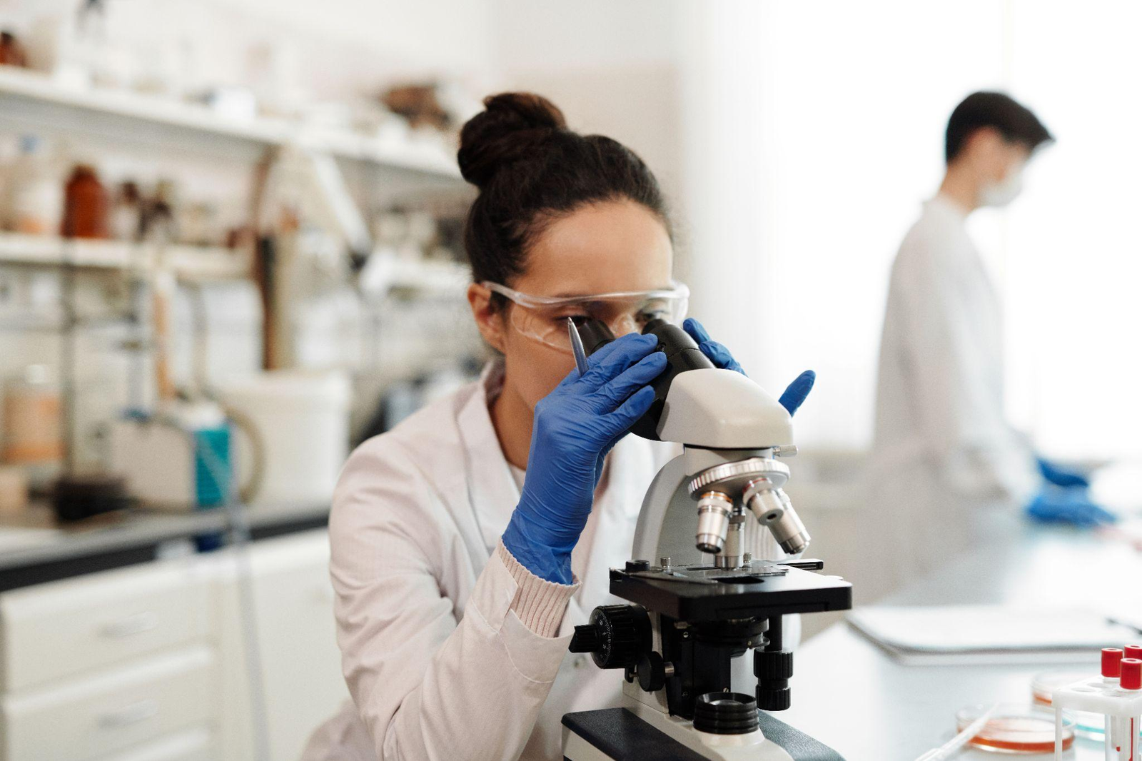 How Is Cardarine Handled in Preclinical Studies?