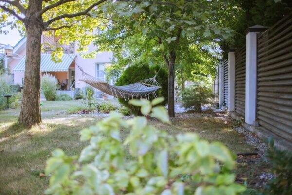 What Are The Best Methods For Mosquito Control?
